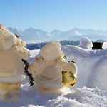 Alphorn