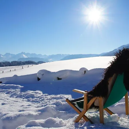 Alphorn فندق أوفتيرشفانغ