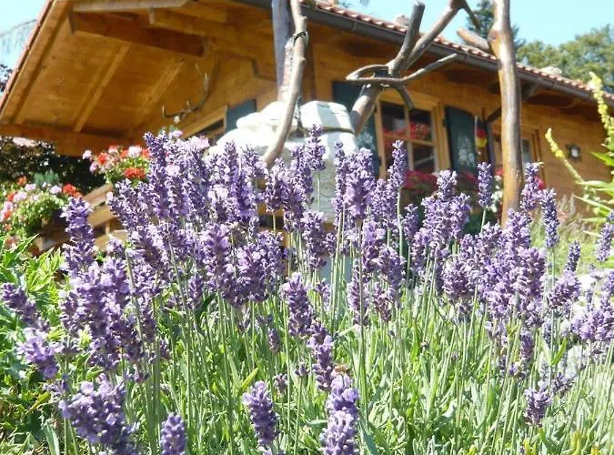 Alphorn Hotel