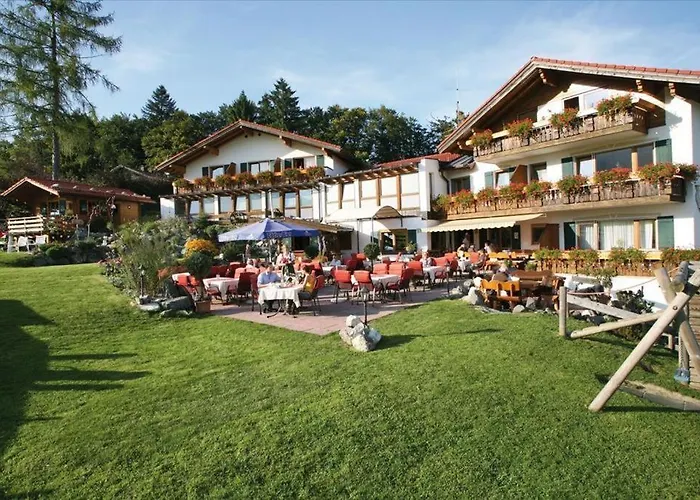 Hotel Alphorn 3*