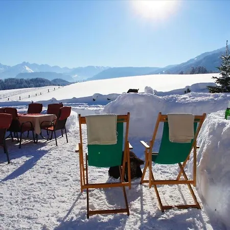 Hotel Alphorn