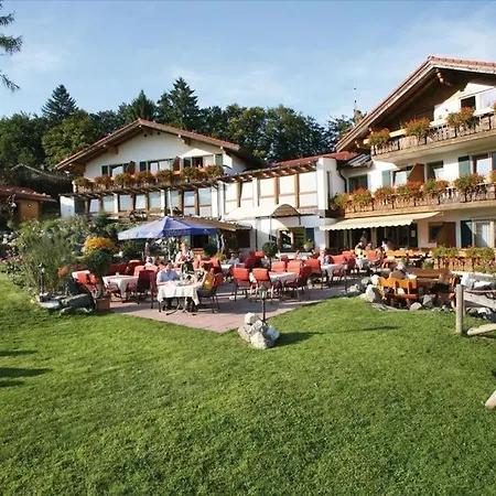 Hotel Alphorn 3*