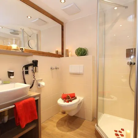 Hotel Alphorn 3*