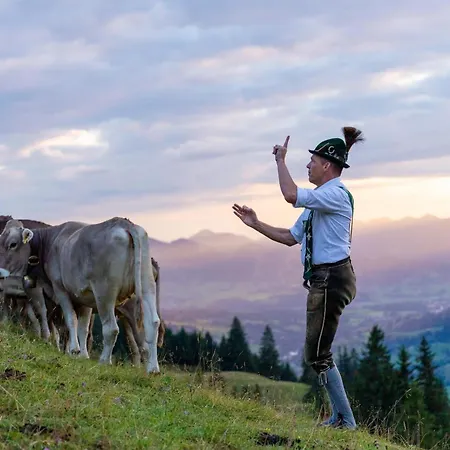 Alphorn Hotel Ofterschwang