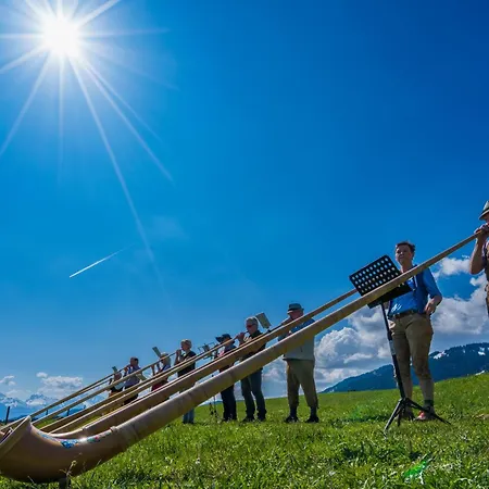 Alphorn 3*